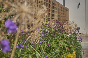 Garden- click for photo gallery